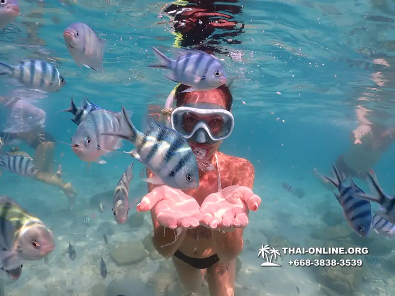 Underwater Odyssey snorkeling tour from Pattaya Thailand photo 14309