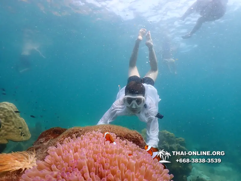 Underwater Odyssey snorkeling tour from Pattaya Thailand photo 18595