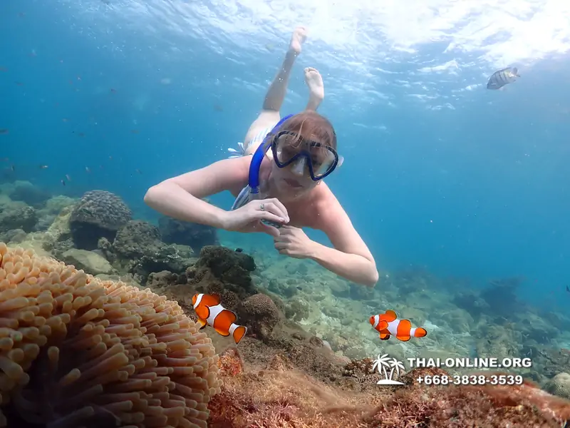 Underwater Odyssey snorkeling excursion Pattaya Thailand photo 11367