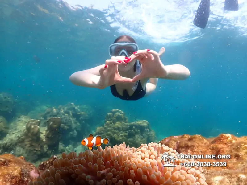 Underwater Odyssey snorkeling tour from Pattaya Thailand photo 14387