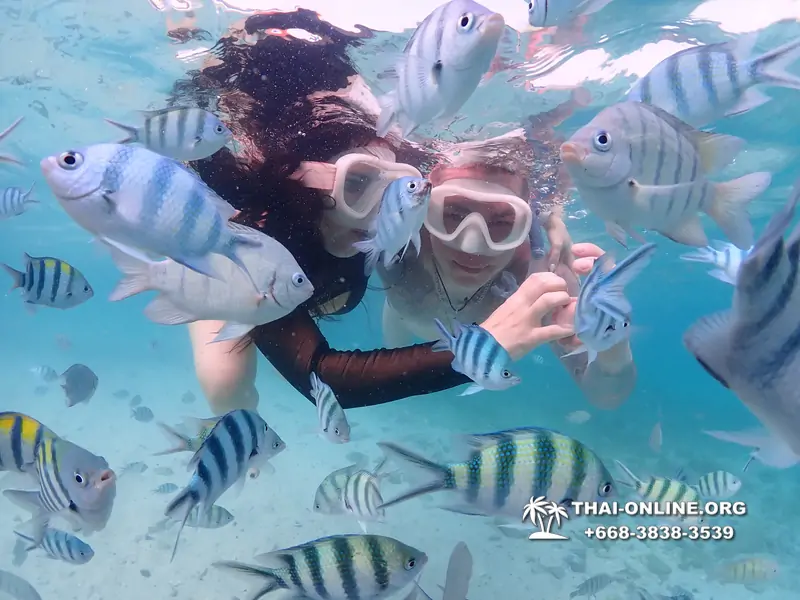 Underwater Odyssey snorkeling excursion Pattaya Thailand photo 11202