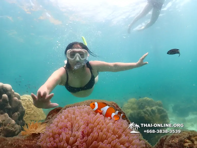 Underwater Odyssey snorkeling tour from Pattaya Thailand photo 18462