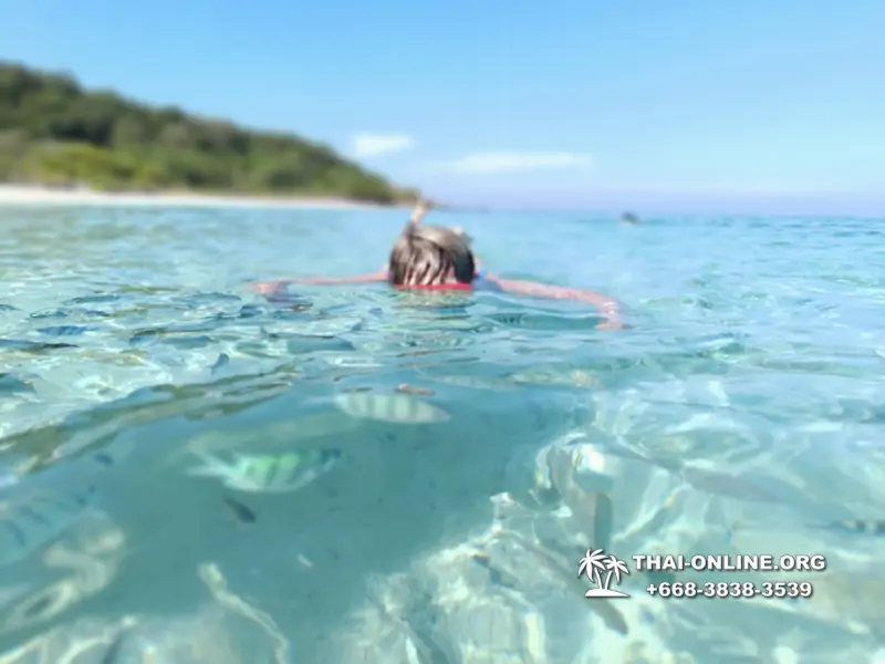 Underwater Odyssey snorkeling tour from Pattaya Thailand photo 10836