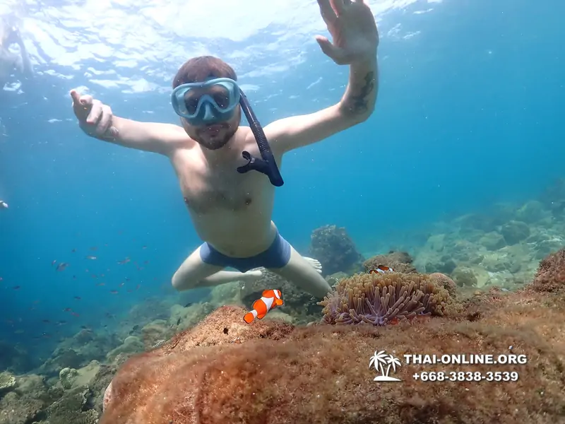 Underwater Odyssey snorkeling excursion Pattaya Thailand photo 11341