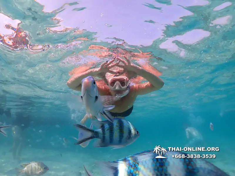Underwater Odyssey snorkeling excursion Pattaya Thailand photo 10994