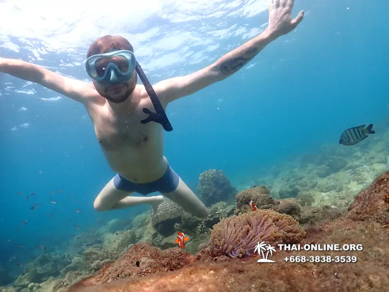 Underwater Odyssey snorkeling excursion Pattaya Thailand photo 11342