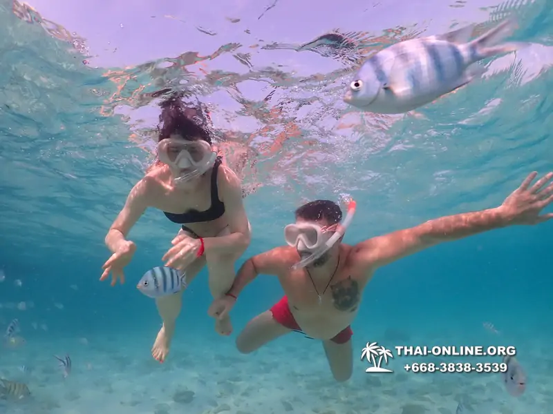 Underwater Odyssey snorkeling excursion Pattaya Thailand photo 11040