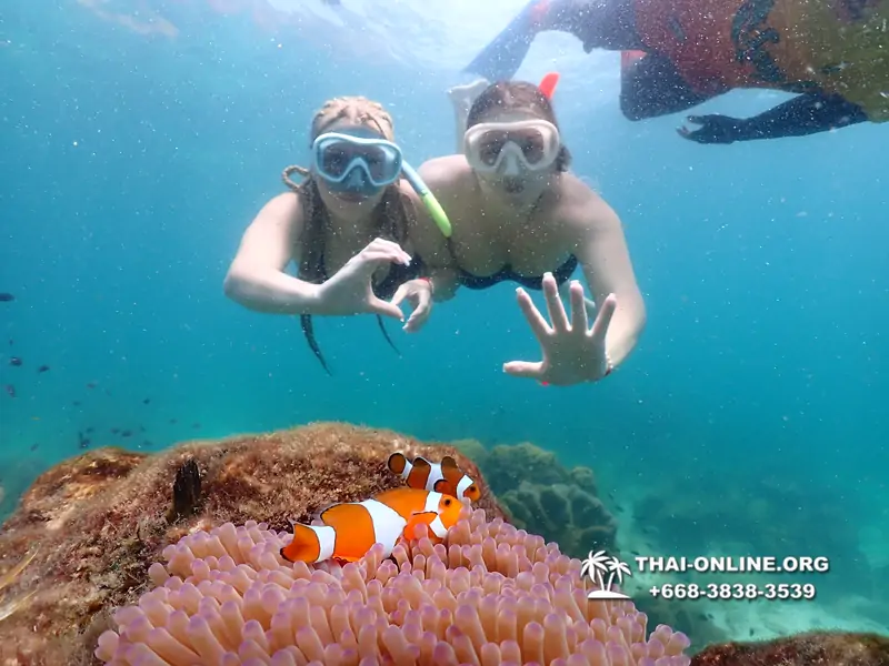 Underwater Odyssey snorkeling excursion Pattaya Thailand photo 14887