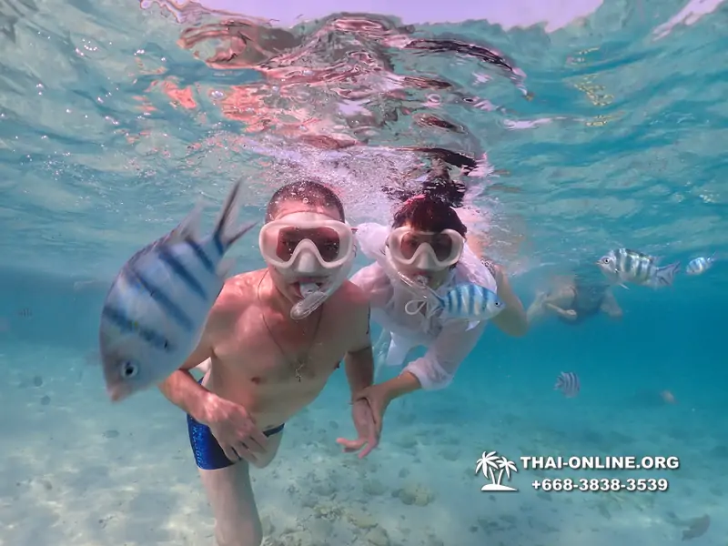 Underwater Odyssey snorkeling excursion Pattaya Thailand photo 11094
