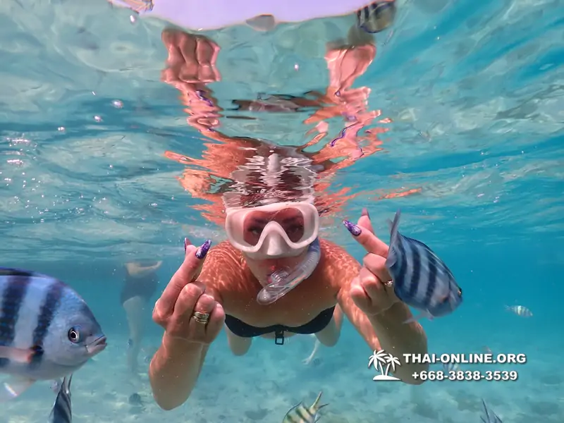 Underwater Odyssey snorkeling excursion Pattaya Thailand photo 10981