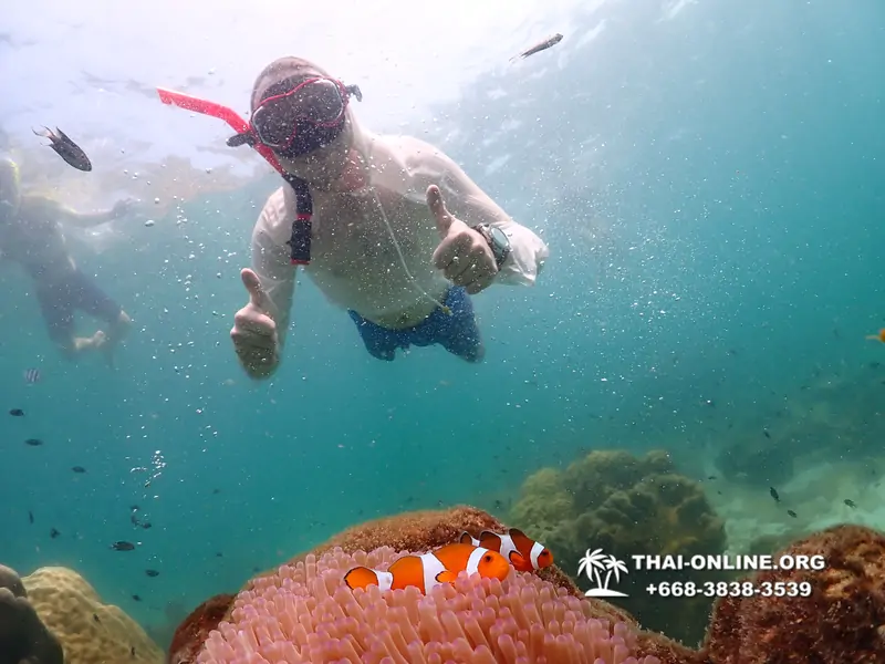 Underwater Odyssey snorkeling tour from Pattaya Thailand photo 18283