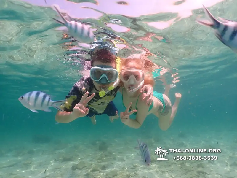 Underwater Odyssey snorkeling tour from Pattaya Thailand photo 18360