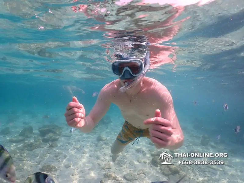 Underwater Odyssey snorkeling tour from Pattaya Thailand photo 14289