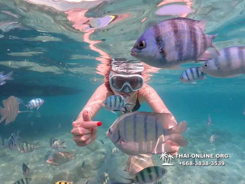 Underwater Odyssey snorkeling tour from Pattaya Thailand photo 14413