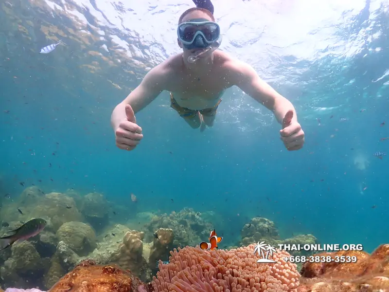 Underwater Odyssey snorkeling tour from Pattaya Thailand photo 14338