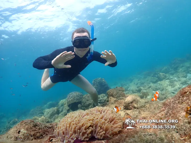 Underwater Odyssey snorkeling excursion Pattaya Thailand photo 11380
