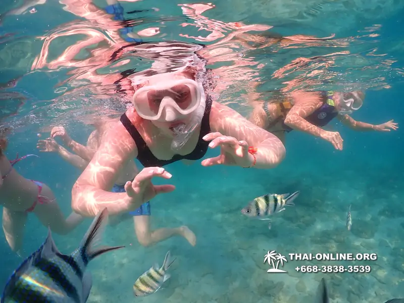 Underwater Odyssey snorkeling excursion Pattaya Thailand photo 11576