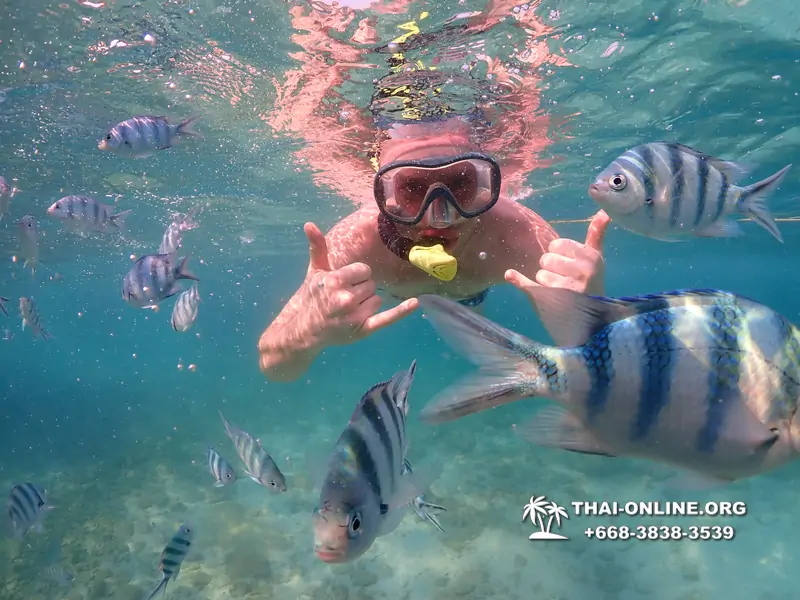 Underwater Odyssey snorkeling excursion Pattaya Thailand photo 11527