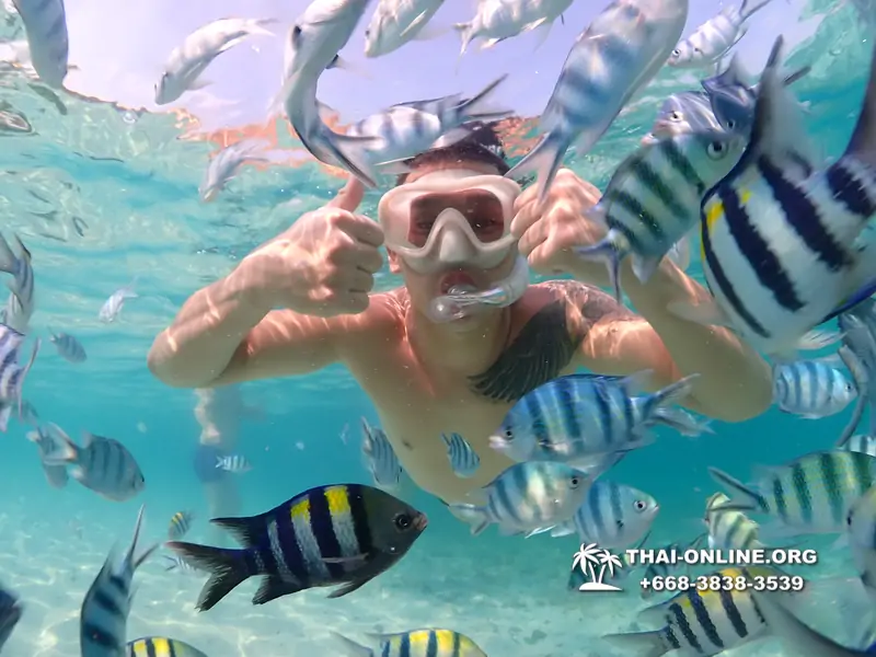 Underwater Odyssey snorkeling excursion Pattaya Thailand photo 11272