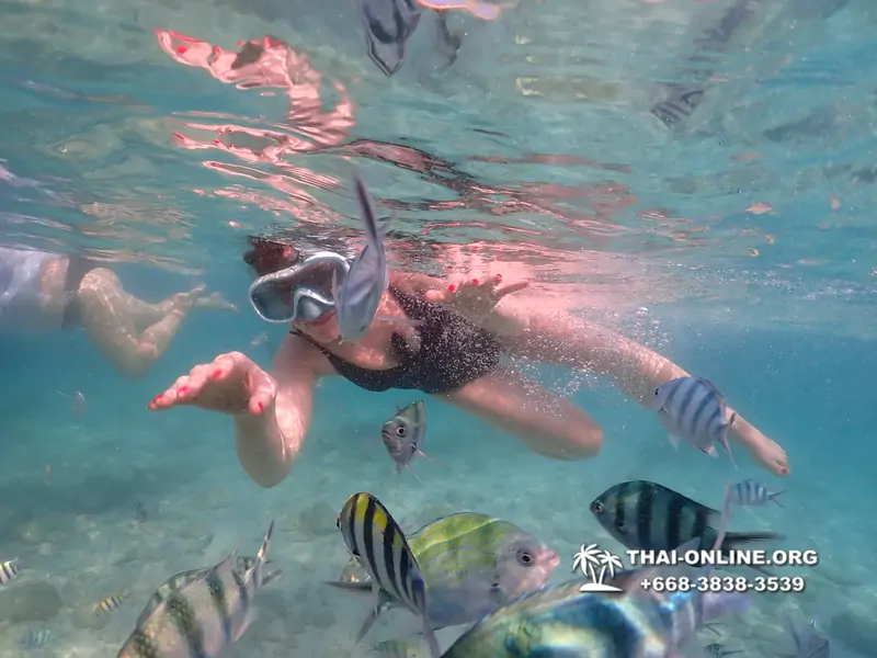 Underwater Odyssey snorkeling tour from Pattaya Thailand photo 14353