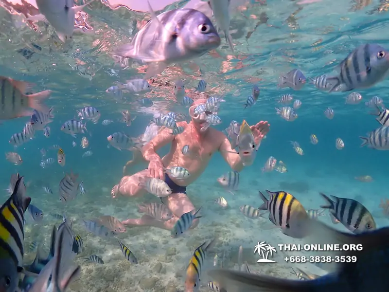 Underwater Odyssey snorkeling excursion Pattaya Thailand photo 11298