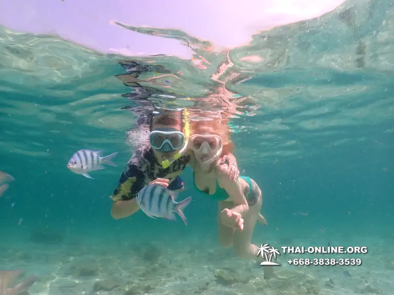 Underwater Odyssey snorkeling tour from Pattaya Thailand photo 18741