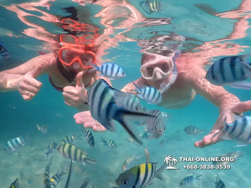 Underwater Odyssey snorkeling tour from Pattaya Thailand photo 14316