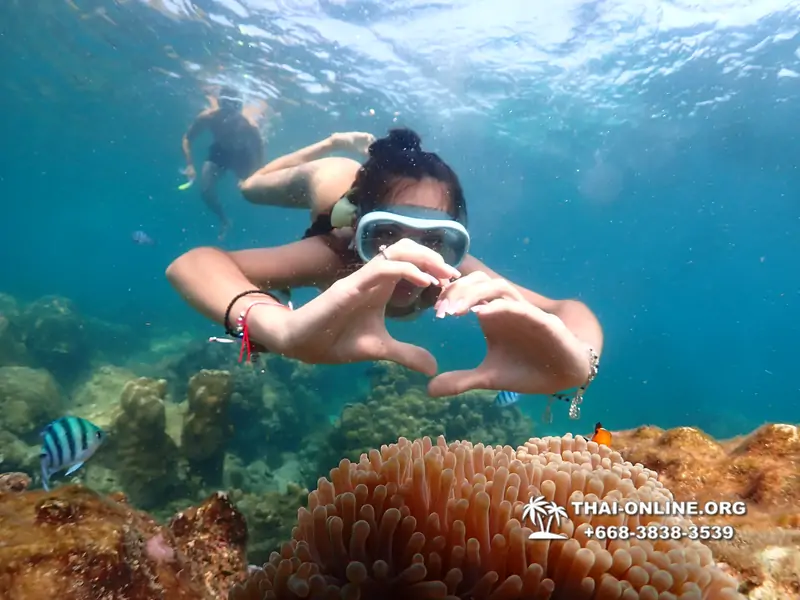 Underwater Odyssey snorkeling tour from Pattaya Thailand photo 14285