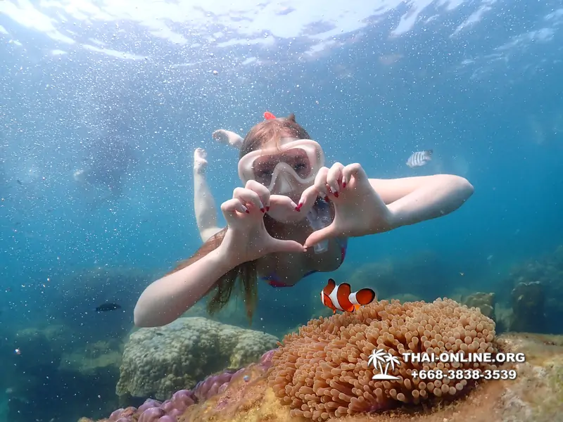 Underwater Odyssey snorkeling excursion Pattaya Thailand photo 11524