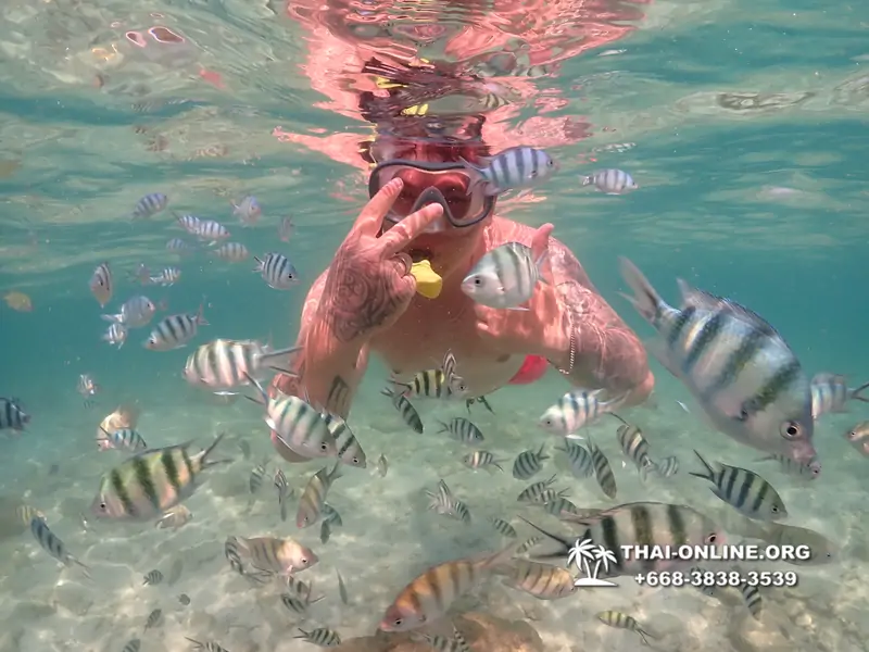 Underwater Odyssey snorkeling excursion Pattaya Thailand photo 14888