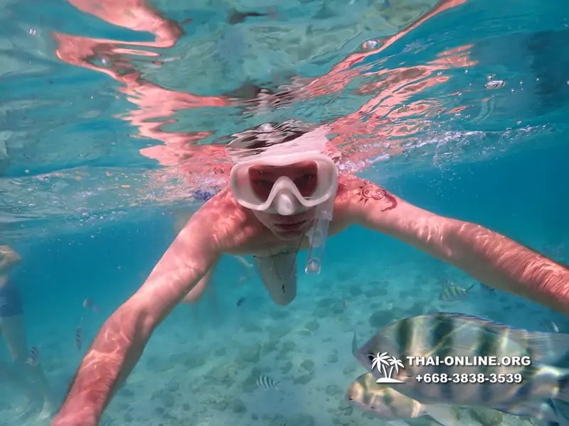 Underwater Odyssey snorkeling excursion Pattaya Thailand photo 11130
