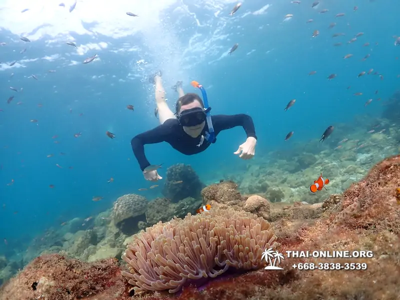Underwater Odyssey snorkeling excursion Pattaya Thailand photo 11372