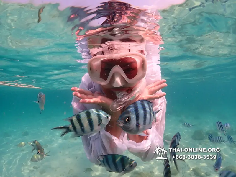 Underwater Odyssey snorkeling tour from Pattaya Thailand photo 14262