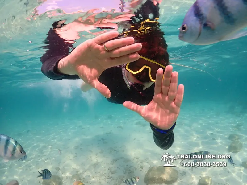 Underwater Odyssey snorkeling tour from Pattaya Thailand photo 14406