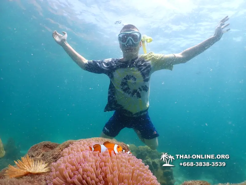 Underwater Odyssey snorkeling tour from Pattaya Thailand photo 18447