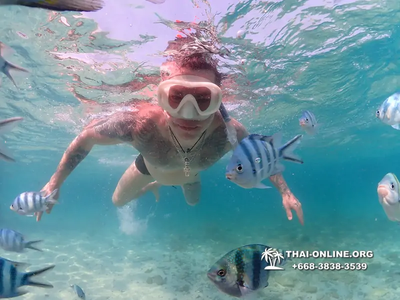 Underwater Odyssey snorkeling excursion Pattaya Thailand photo 11230