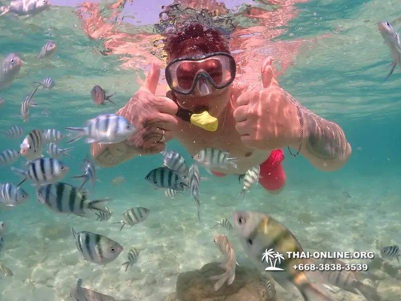 Underwater Odyssey snorkeling excursion Pattaya Thailand photo 14826