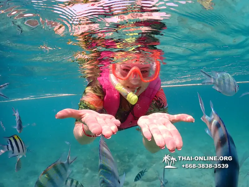 Underwater Odyssey snorkeling excursion Pattaya Thailand photo 11521