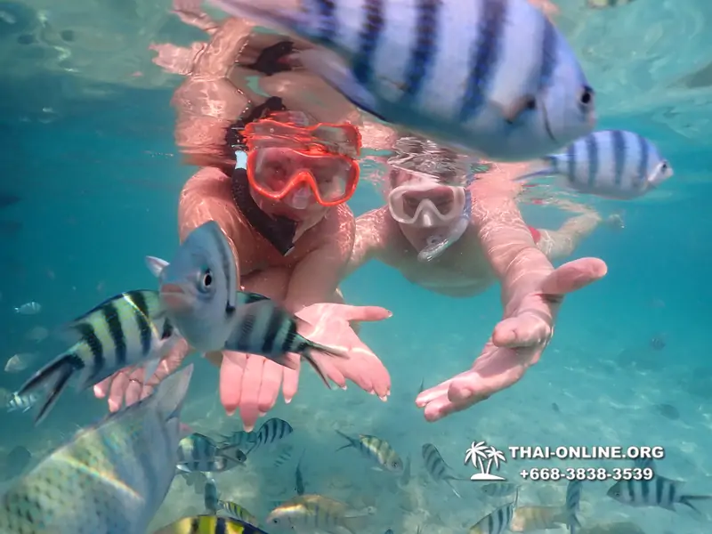 Underwater Odyssey snorkeling tour from Pattaya Thailand photo 14518