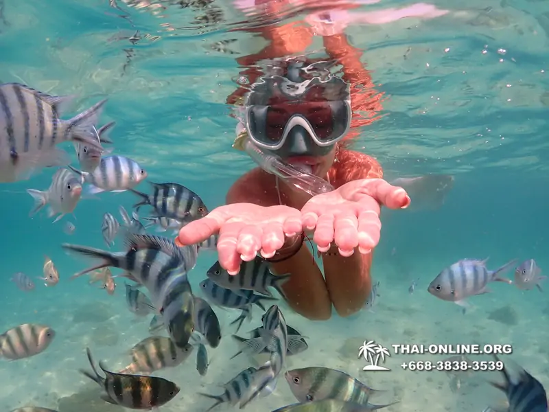 Underwater Odyssey snorkeling excursion Pattaya Thailand photo 14231