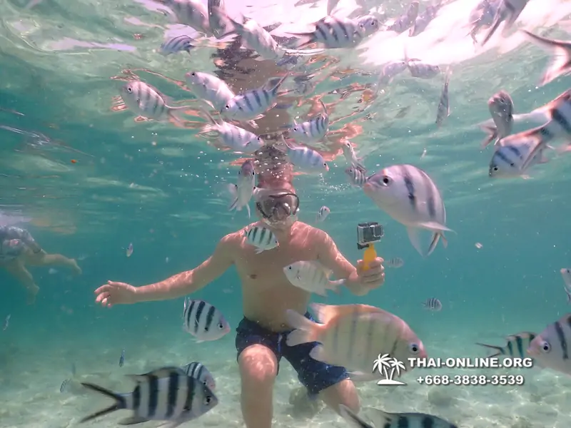 Underwater Odyssey snorkeling tour from Pattaya Thailand photo 18323