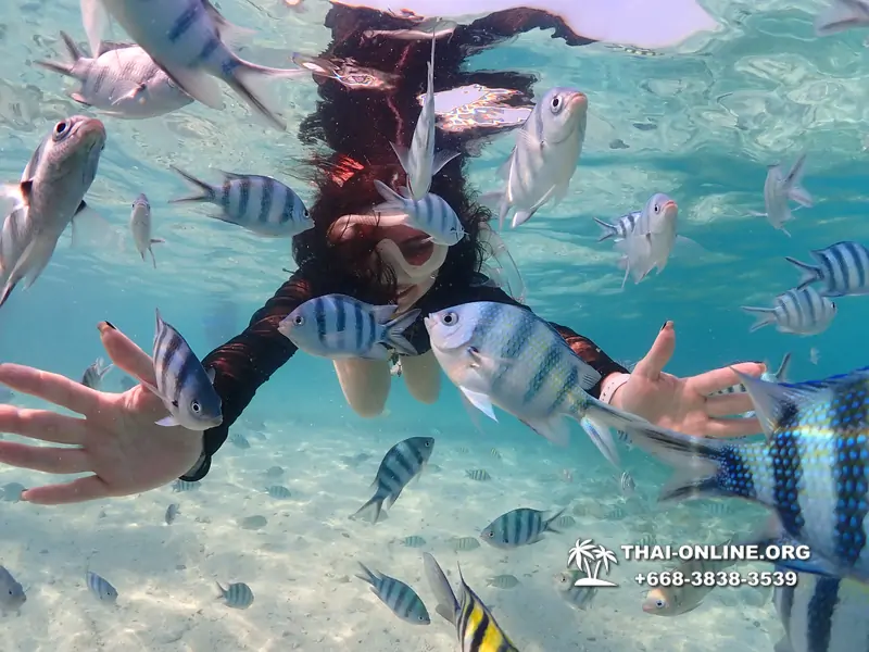 Underwater Odyssey snorkeling excursion Pattaya Thailand photo 11218