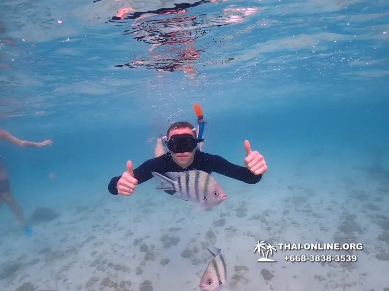 Underwater Odyssey snorkeling excursion Pattaya Thailand photo 11147