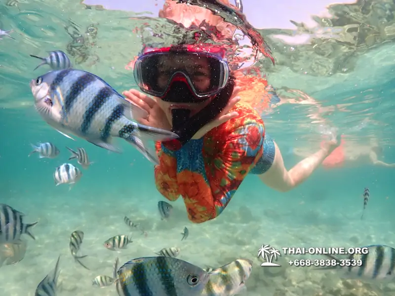 Underwater Odyssey snorkeling excursion Pattaya Thailand photo 14859