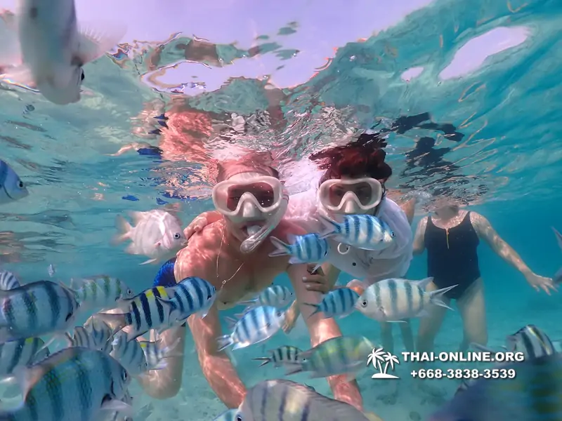 Underwater Odyssey snorkeling excursion Pattaya Thailand photo 11089