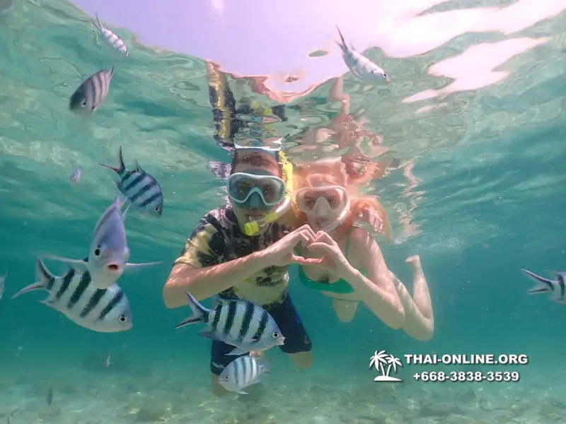 Underwater Odyssey snorkeling tour from Pattaya Thailand photo 18467