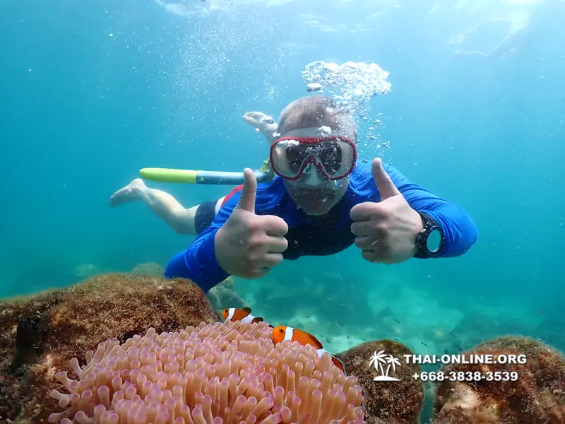 Underwater Odyssey snorkeling excursion Pattaya Thailand photo 14827