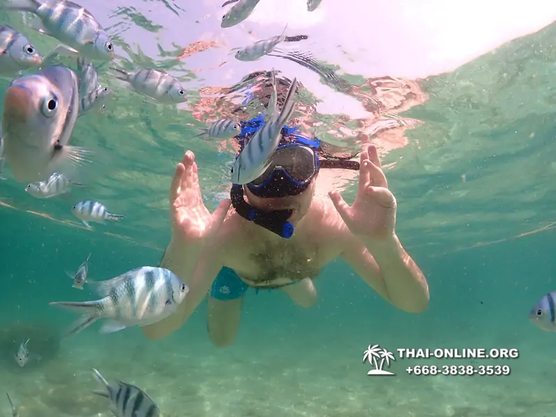 Underwater Odyssey snorkeling tour from Pattaya Thailand photo 18351