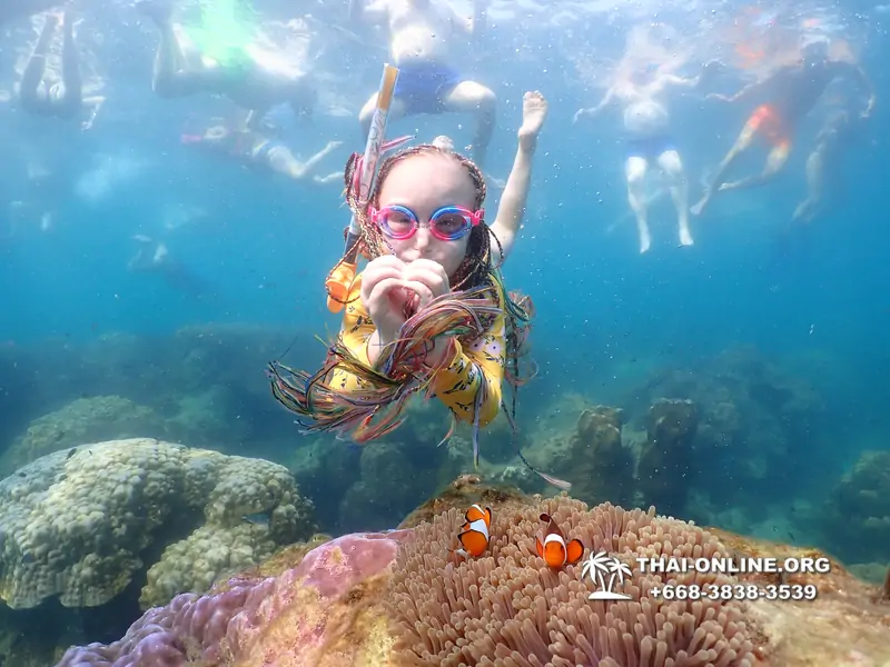 Underwater Odyssey snorkeling excursion Pattaya Thailand photo 11583