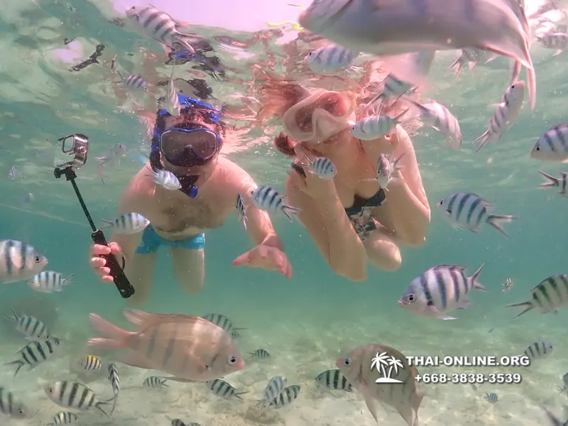 Underwater Odyssey snorkeling tour from Pattaya Thailand photo 18279